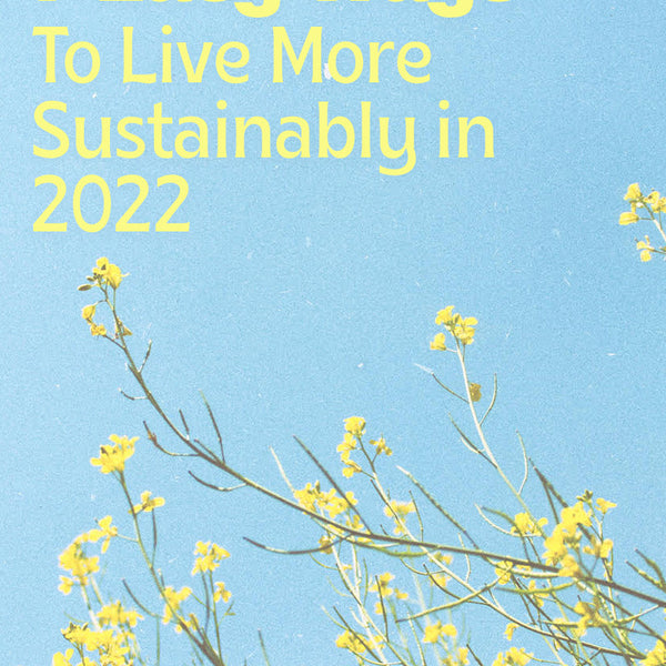 7 Easy Ways to Live More Sustainability in 2022