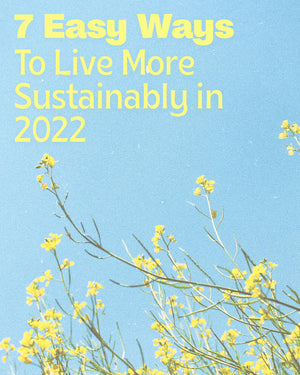 7 Easy Ways to Live More Sustainability in 2022